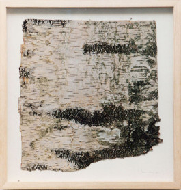 Atlas of Landscapes in a Room