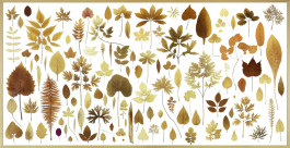 Atlas of Landscapes in a Room