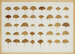 Atlas of Landscapes in a Room