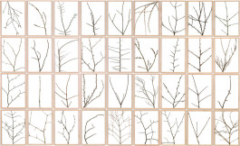 Atlas of Landscapes in a Room