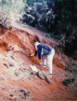 Atlas of Landscapes in a Room