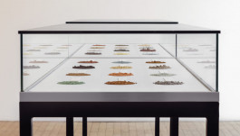 Atlas of Landscapes in a Room