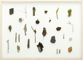 Atlas of Landscapes in a Room