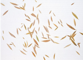 Atlas of Landscapes in a Room