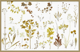 Atlas of Landscapes in a Room