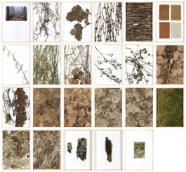 Atlas of Landscapes in a Room