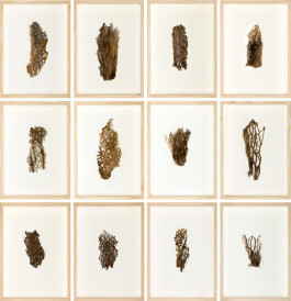 Atlas of Landscapes in a Room