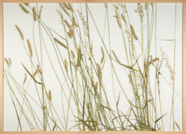 Atlas of Landscapes in a Room