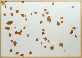 Atlas of Landscapes in a Room