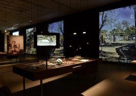 Atlas of Landscapes in a Room