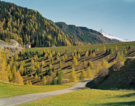 Atlas of Landscapes in a Room