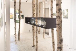 Atlas of Landscapes in a Room