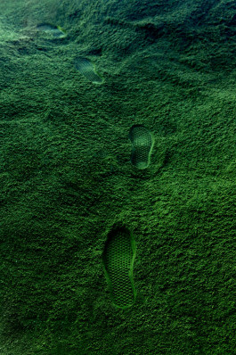 Atlas of Landscapes in a Room