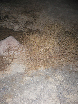 Atlas of Landscapes in a Room