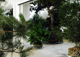 Atlas of Landscapes in a Room