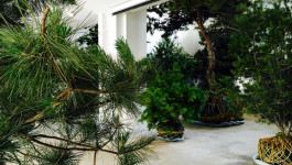 Atlas of Landscapes in a Room