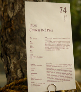 Atlas of Landscapes in a Room