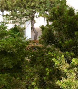 Atlas of Landscapes in a Room