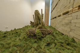 Atlas of Landscapes in a Room