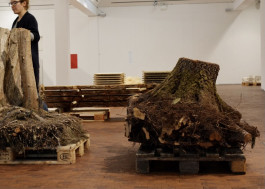 Atlas of Landscapes in a Room