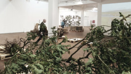 Atlas of Landscapes in a Room