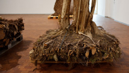 Atlas of Landscapes in a Room