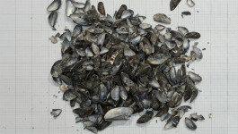 Atlas of Landscapes in a Room