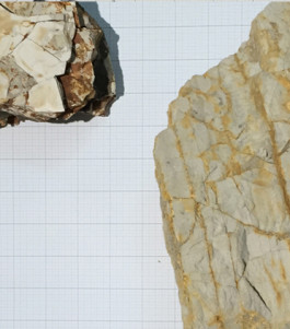 Atlas of Landscapes in a Room