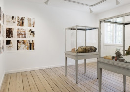 Atlas of Landscapes in a Room