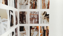 Atlas of Landscapes in a Room