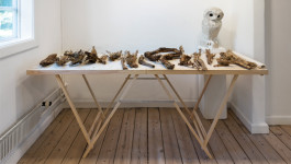 Atlas of Landscapes in a Room