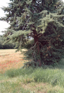 Atlas of Landscapes in a Room
