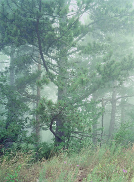 Atlas of Landscapes in a Room