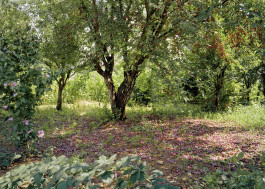 Atlas of Landscapes in a Room