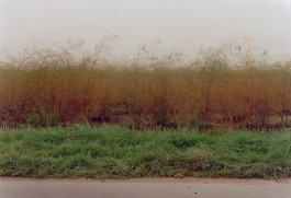 Atlas of Landscapes in a Room