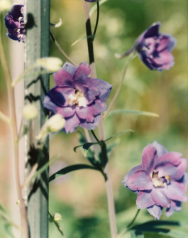 Atlas of Landscapes in a Room