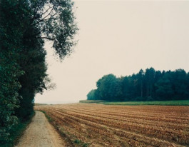 Atlas of Landscapes in a Room