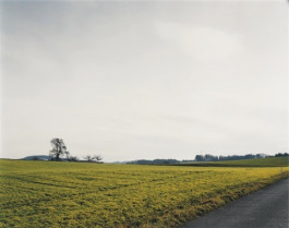 Atlas of Landscapes in a Room