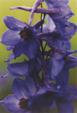 Atlas of Landscapes in a Room