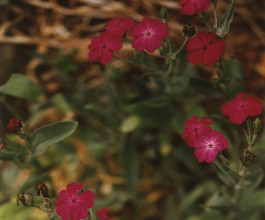 Atlas of Landscapes in a Room