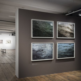 Atlas of Landscapes in a Room