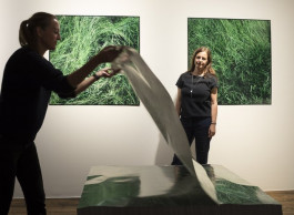 Atlas of Landscapes in a Room