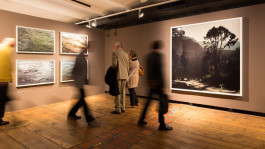 Atlas of Landscapes in a Room