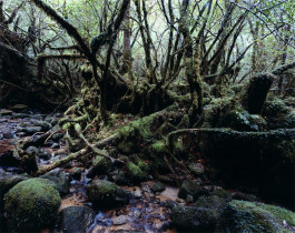 Atlas of Landscapes in a Room