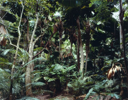 Atlas of Landscapes in a Room