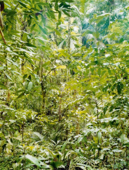 Atlas of Landscapes in a Room