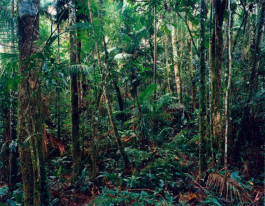 Atlas of Landscapes in a Room