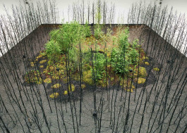 Atlas of Landscapes in a Room