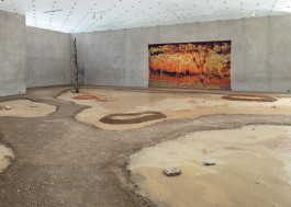 Atlas of Landscapes in a Room