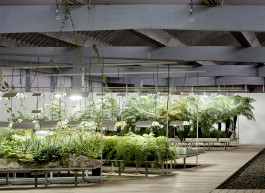 Atlas of Landscapes in a Room